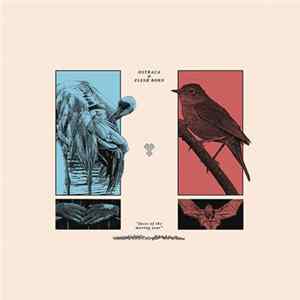 Ostraca, Flesh Born - Faces of the Moving Year FLAC album