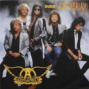 Aerosmith - Dude (Looks Like A Lady) FLAC album