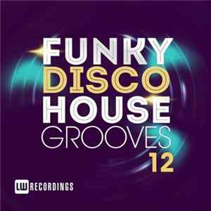 Various - Funky Disco House Grooves 12 FLAC album