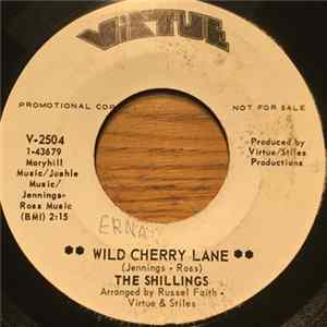 The Shillings - Strawberry Jain FLAC album