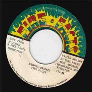 Fire Facts - Bridgie Bridgie FLAC album