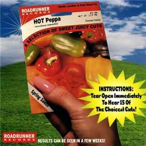 Various - Spring Sampler 1999 FLAC album