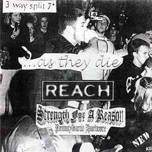 ...As They Die / Reach / Strength For A Reason - 3 Way Split FLAC album