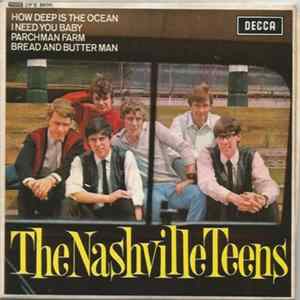 The Nashville Teens - The Nashville Teens FLAC album