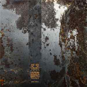Horse Gives Birth To Fly - Untitled FLAC album