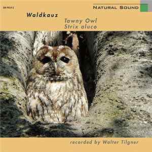 Walter Tilgner - Waldkauz = Tawny Owl = Strix Aluco FLAC album