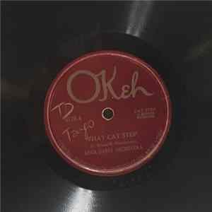 Rega Dance Orchestra - That Cat Step / I'm A Jazz Vampire FLAC album