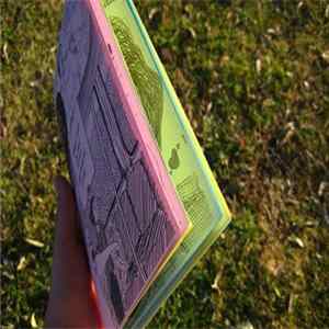 Li'l Leonie Lionheart - These Are A Few Of My Favourite Songs FLAC album