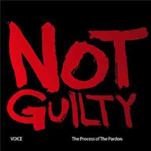 Voice - The Process Of The Pardon FLAC album
