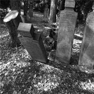 The Rorschach Garden - Funeral Party FLAC album