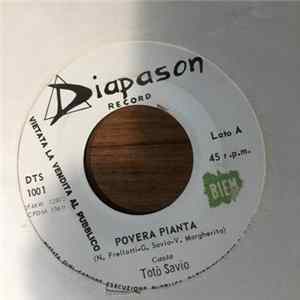 Totò Savio - Povera Pianta FLAC album