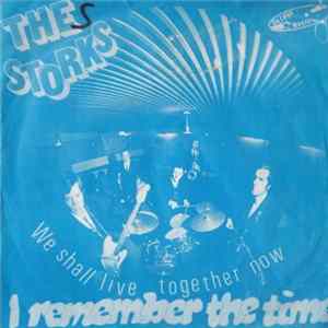 The Storks - I Remember The Time FLAC album