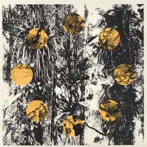 Katsunori Sawa - Secret of Silence FLAC album
