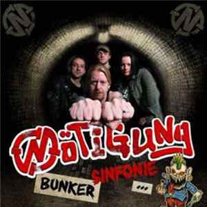 Nötigung - Bunker Sinfonie...In Arschvoll! FLAC album