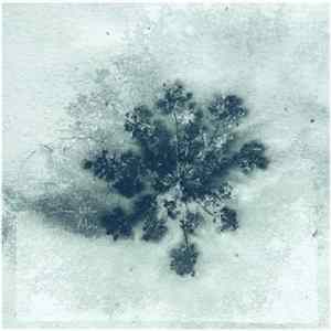 Simeon Walker - Mono FLAC album