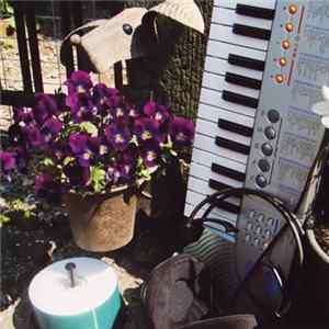 CDR - 25 FLAC album