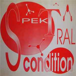 Spektral Condition - Cat Four FLAC album