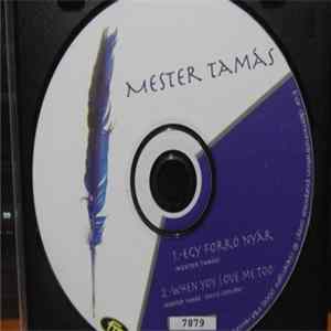 Mester Tamás - Egy Forró Nyár FLAC album
