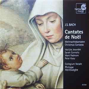 J.S. Bach, Vasijlka Jezovšek, Sarah Connolly, Mark Padmore, Peter Kooy, Collegium Vocale, Philippe Herreweghe - Cantates De Noël = Christmas Cantatas FLAC album