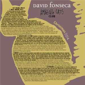 David Fonseca - Christmas 2014 FLAC album