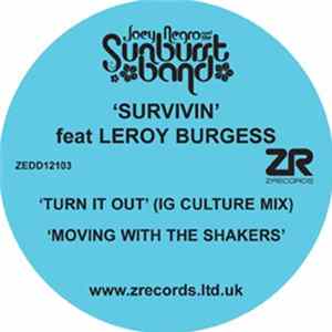 The Sunburst Band - Survivin' FLAC album