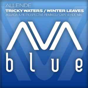 Allende - Tricky Waters / Winter Leaves FLAC album