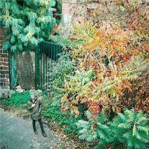 Unfair To Facts - Phenomenon / Noumenon FLAC album