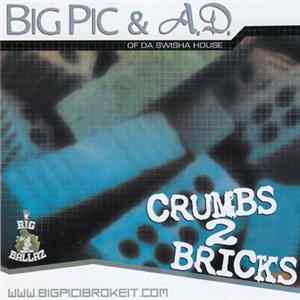 Big Pic & A.D. - Crumbs To Bricks FLAC album