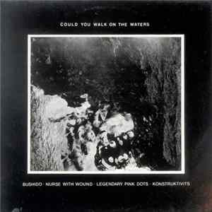 Various - Could You Walk On The Waters FLAC album