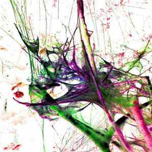 Paul Nagle - Seekers Of Oblivion FLAC album
