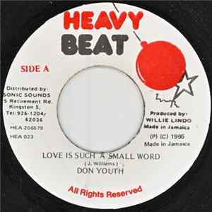 Don Youth - Love Is Such A Small Word FLAC album