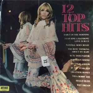 The Clive Allan Orchestra And Singers - 12 Top Hits FLAC album
