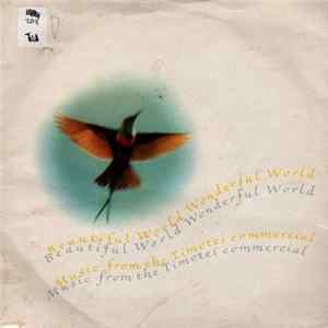 Beautiful World - Wonderful World FLAC album