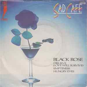 Sad Café - Live In Concert FLAC album