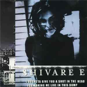 Shivaree - I Oughtta Give You A Shot In The Head For Making Me Live In This Dump FLAC album