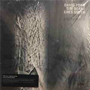 David Torn / Tim Berne / Ches Smith - Sun Of Goldfinger FLAC album