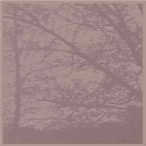 Looper - Dying Sun FLAC album