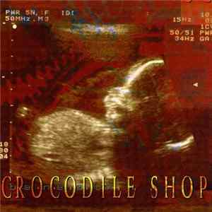 Crocodile Shop - Beneath FLAC album