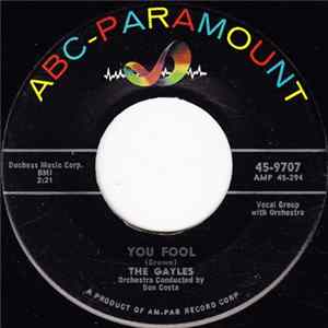 The Gayles - You Fool / Shortnin' Bread Rock FLAC album