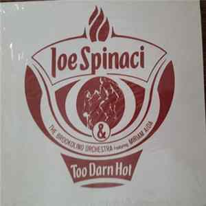 Joe Spinaci & The Brookolino Orchestra Featuring Miriam Aïda - Too Darn Hot FLAC album