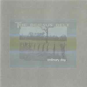 The Bejesus Belt - Ordinary Day FLAC album