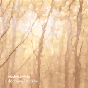 Niedodźwięki - Discovery Kaszebe FLAC album