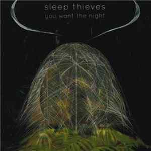 Sleep Thieves - You Want The Night FLAC album