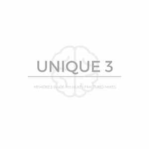 Unique 3 - Memories Inside My Head (Fractured Mixes) FLAC album