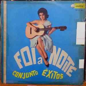Conjunto Êxitos - Foi A Noite FLAC album
