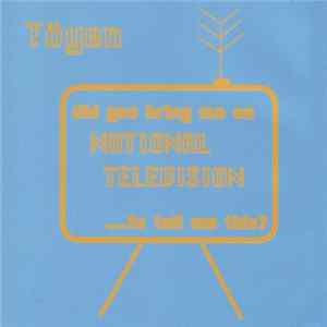 Töyen - Did You Bring Me On National Television To Tell Me This? FLAC album