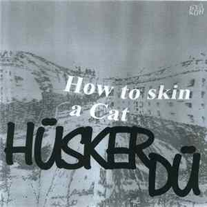 Hüsker Dü - How To Skin A Cat FLAC album