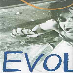 Sonic Youth - EVOL FLAC album