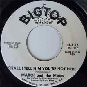 Marci And The Mates - Shall I Tell Him You're Not Here FLAC album