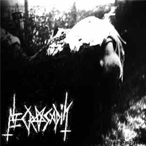 Necrosadik - Destroying Your Life FLAC album